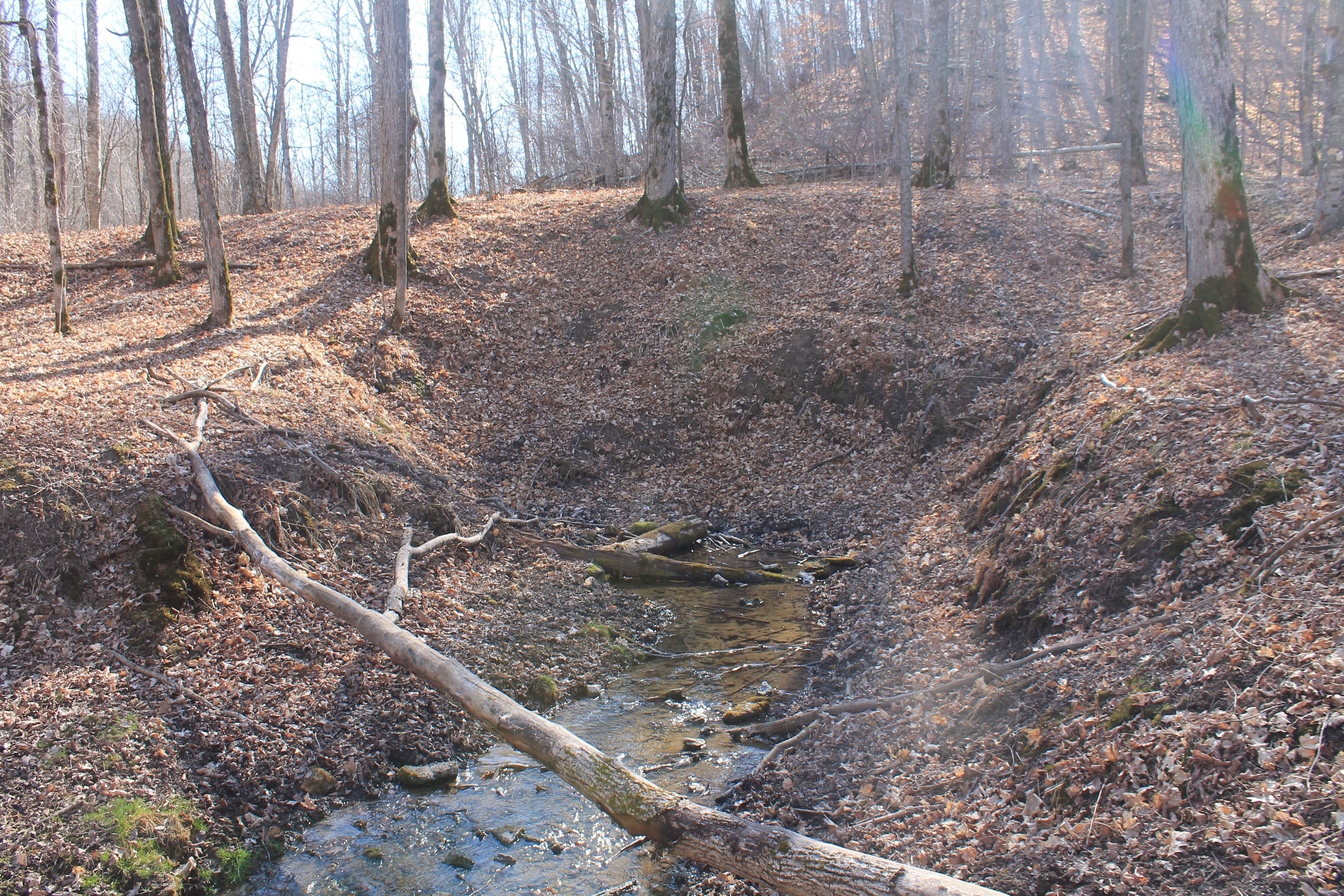One of the many springs where ground water out flows to form the head waters of Wilson Creek. The current flow is lower than normal due to the extended drought.  The lack of snow cover and subsequent snow melt means much of the seasonal recharging of the water table will not occur.  Surface waters and shallow wells will have less water this summer.